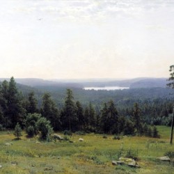 The Forest Horizons